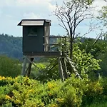 Grosse Gruppenunterkunft Im Nationalpark Eifel Mit Bar Und Terrasse * Schleiden