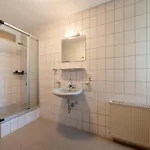 Grosse Gruppenunterkunft Im Nationalpark Eifel Mit Bar Und Terrasse Ferienhaus