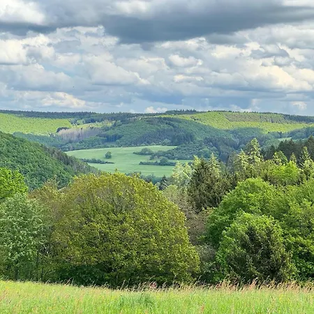 Big Near Monschau In The Eifel Nationalpark With A Terrace And Bar Holiday home *