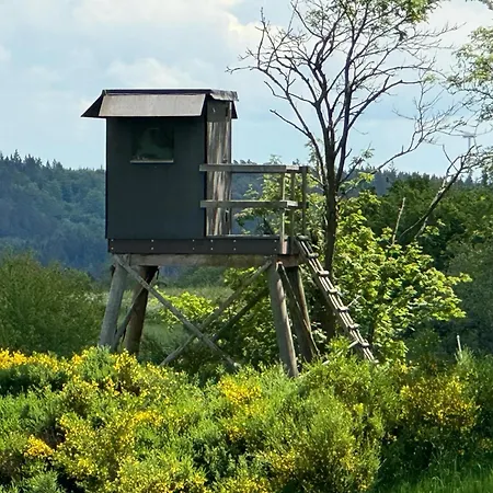 Grosse Gruppenunterkunft Im Nationalpark Eifel Mit Bar Und Terrasse * Schleiden