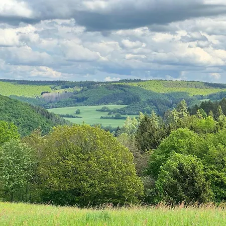 Grosse Gruppenunterkunft Im Nationalpark Eifel Mit Bar Und Terrasse 度假居