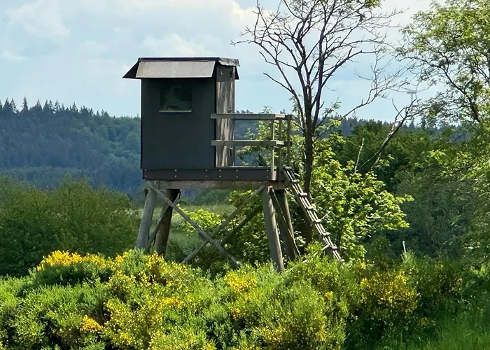 Grosse Gruppenunterkunft Im Nationalpark Eifel Mit Bar Und Terrasse * 施莱登