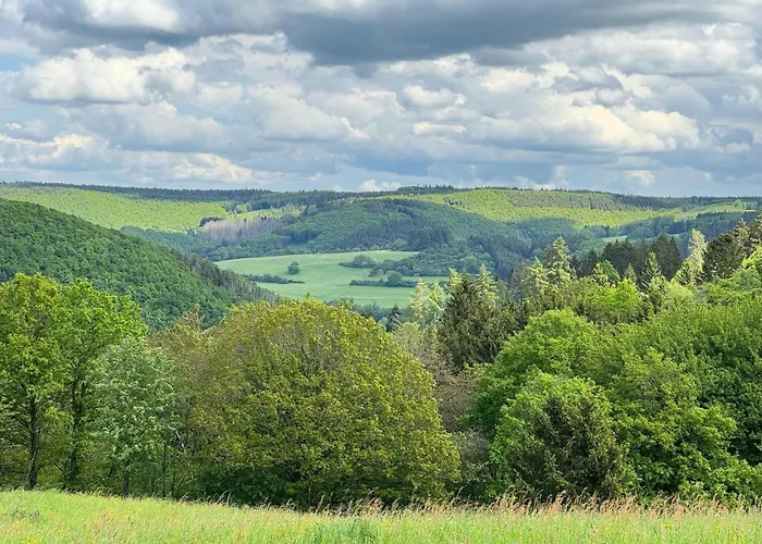 Grosse Gruppenunterkunft Im Nationalpark Eifel Mit Bar Und Terrasse 度假居